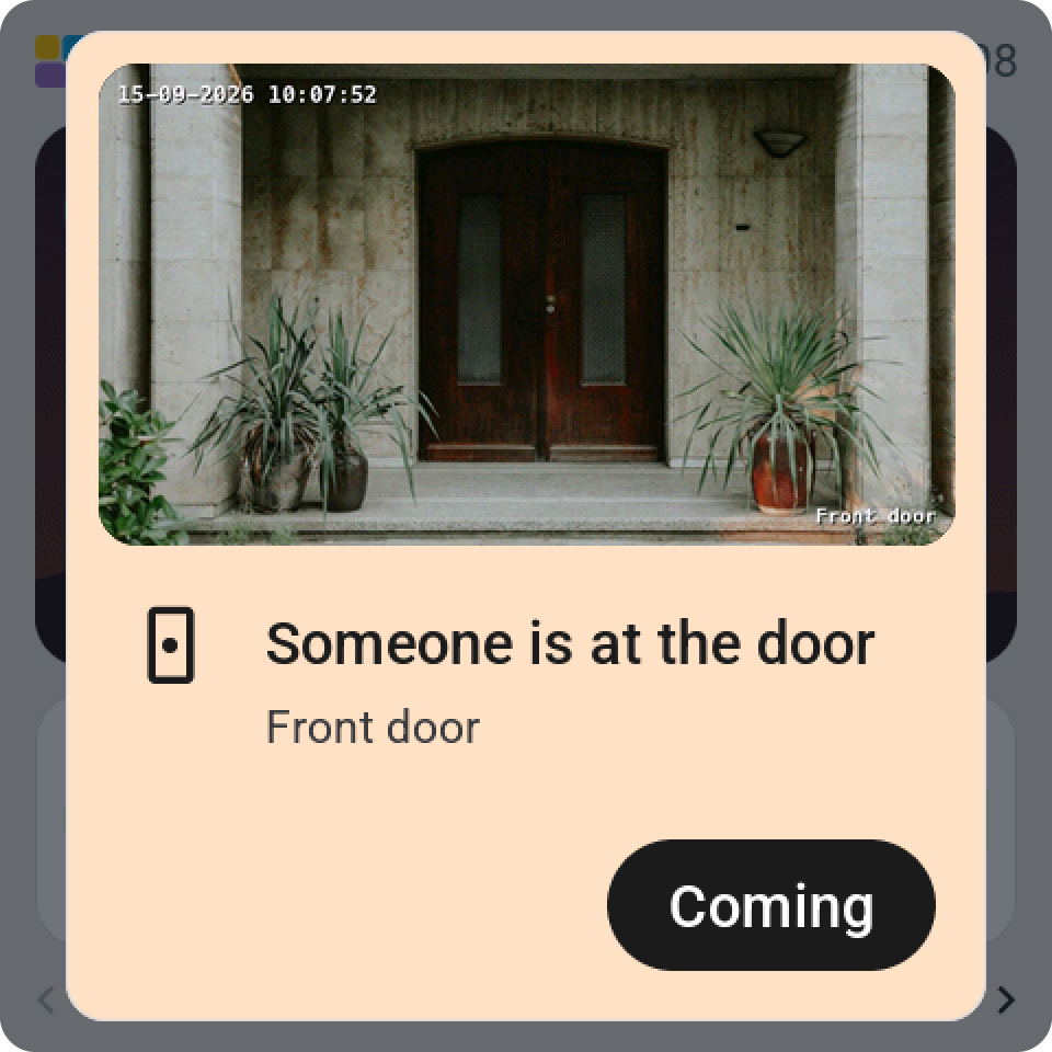 An alert with the doorbell's picture